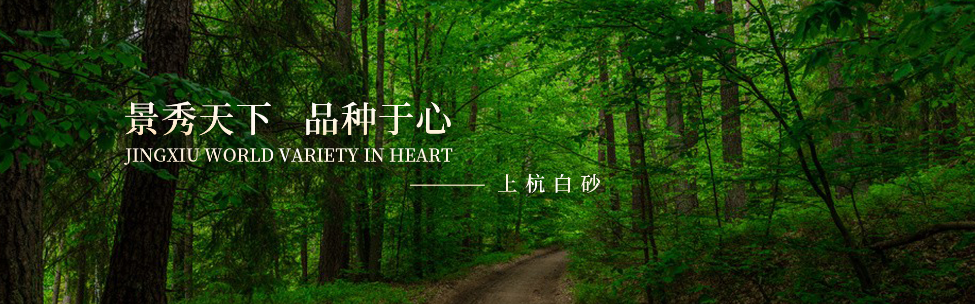 上杭白砂林场苗圃