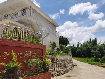 苗圃环境图