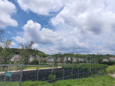 苗圃环境图